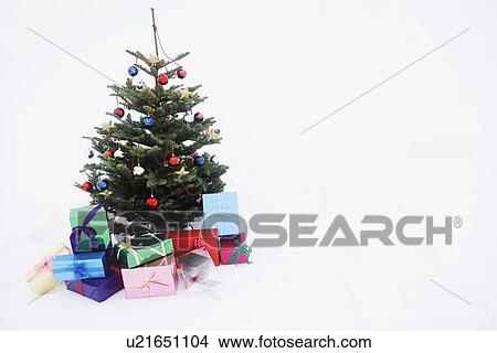 Christmas tree with presents in snow View Large Photo Image Picture - Christmas tree with presents in snow. Fotosearch
