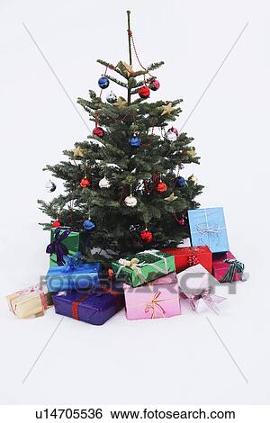 Christmas tree with presents in snow View Large Photo Image Stock Photograph - Christmas tree with presents in snow. Fotosearch