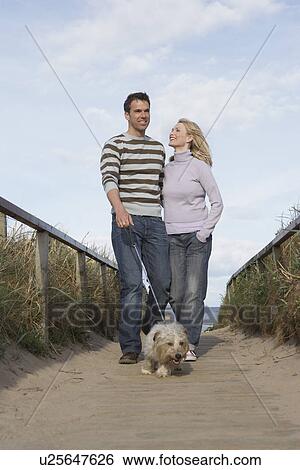Couple walking dog on beach boardwalk View Large Photo Image Stock Photograph - Couple walking dog on beach boardwalk. Fotosearch