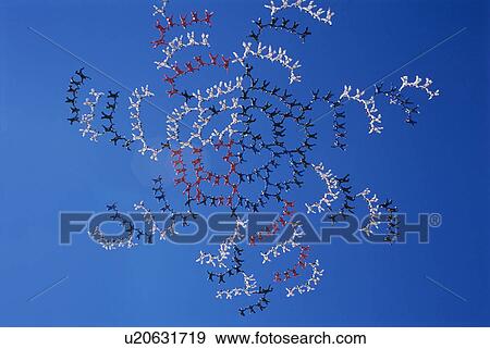 Stock Photo - Formation of skydivers view from below. Fotosearch