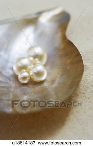 Four pearls in open oyster shell on beach close up elevated view View Large Photo Image Stock Photo - Four pearls in open oyster shell on beach close up elevated view. Fotosearch