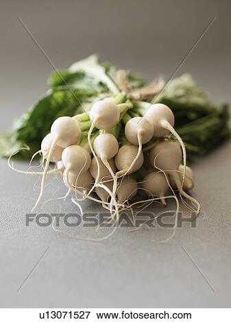 Fresh Bunch of Turnips View Large Photo Image Stock Photo - Fresh Bunch of Turnips. Fotosearch