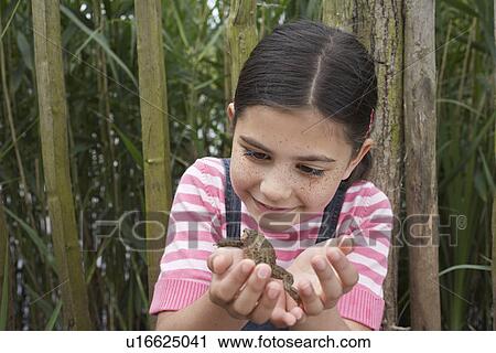 Girl (5-6) holding toad by fence View Large Photo Image Stock Image - Girl (5-6) holding toad by fence. Fotosearch