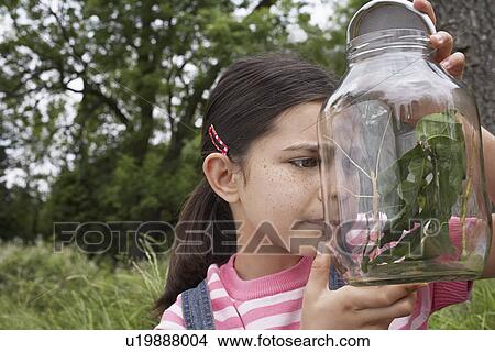 Picture - Girl (7-9) examining jar of stick insects outdoors. Fotosearch