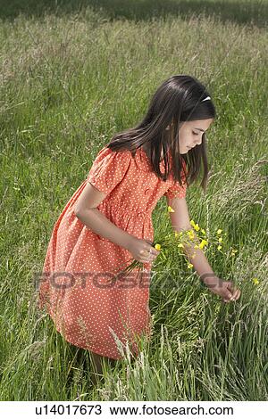 Stock Image - Girl (7-9) picking flowers in field. Fotosearch