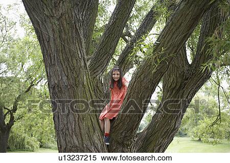 Girl (7-9) standing in tree portrait View Large Photo Image Stock Photography - Girl (7-9) standing in tree portrait. Fotosearch