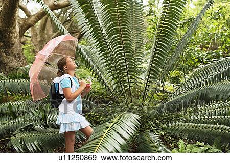 Girl Looking at Large Fern View Large Photo Image Stock Photo - Girl Looking at Large Fern. Fotosearch