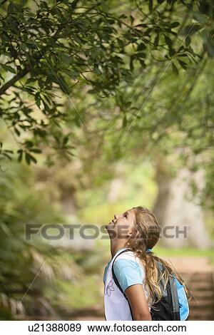 Girl Looking Up at Tree View Large Photo Image Stock Photo - Girl Looking Up at Tree. Fotosearch