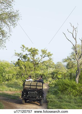 Group of people in jeep on safari back view View Large Photo Image Stock Photo - Group of people in jeep on safari back view. Fotosearch