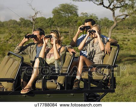 Group of tourists on safari sitting in jeep looking through binoculars View Large Photo Image Picture - Group of tourists on safari sitting in jeep looking through binoculars. Fotosearch