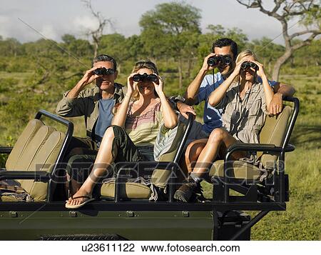 Group of tourists on safari sitting in jeep looking through binoculars View Large Photo Image Stock Image - Group of tourists on safari sitting in jeep looking through binoculars. Fotosearch