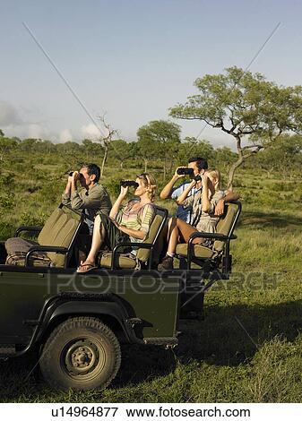 Stock Photo - Group of tourists on safari sitting in jeep looking through binoculars. Fotosearch