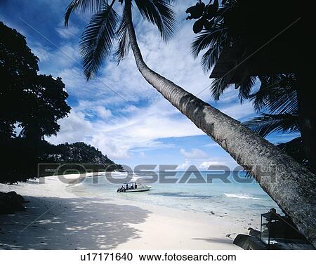Motorboat on Tropical Beach View Large Photo Image Stock Image - Motorboat on Tropical Beach. Fotosearch