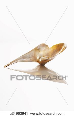 Oyster shell with pearls on white background View Large Photo Image Stock Image - Oyster shell with pearls on white background. Fotosearch