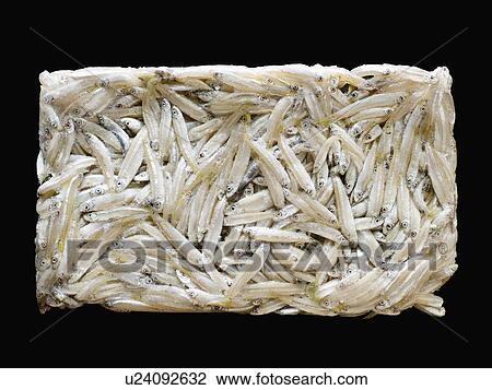 Stock Image - Rectangular block of dried whiting. Fotosearch