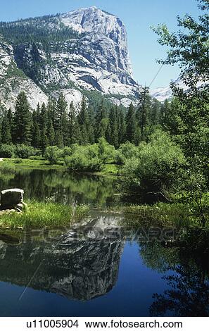 Picture - Reflection of mountain and forest in lake. Fotosearch