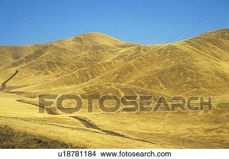 Road across yellow hills View Large Photo Image Picture - Road across yellow hills. Fotosearch