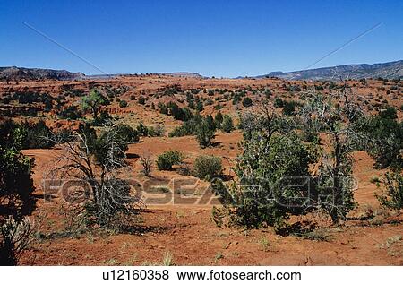 Rocky desert landscape View Large Photo Image Stock Photo - Rocky desert landscape. Fotosearch