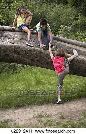 Stock Image - Three friends (7-9) climbing on fallen tree. Fotosearch