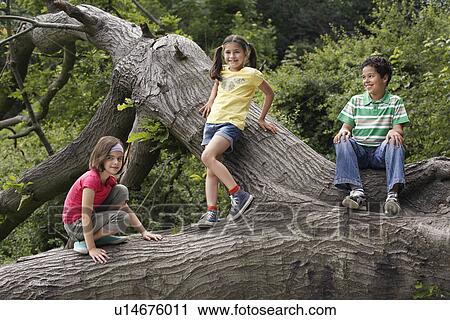 Stock Image - Three friends (7-9) on fallen tree. Fotosearch