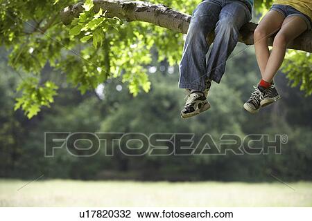 Stock Image - Two children (7-9) sitting in tree low section. Fotosearch