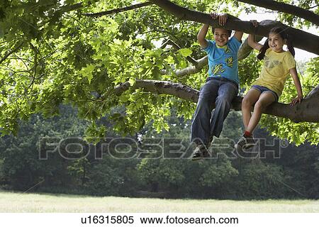 Stock Photography - Two children (7-9) sitting in tree. Fotosearch