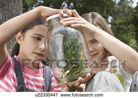 Stock Photo - Two girls (7-9) examining stick insects in jar outdoors. Fotosearch