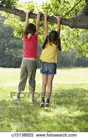 Stock Photography - Two girls (7-9) hanging from tree. Fotosearch