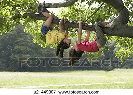 Stock Photo - Two girls (7-9) hanging upside down in tree. Fotosearch