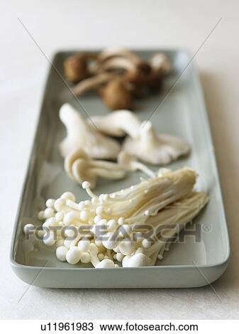 Stock Image - variety of mushrooms on serving tray. Fotosearch