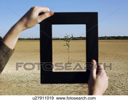 Stock Photo - Woman framing tree in desert close-up of hands and frame. Fotosearch