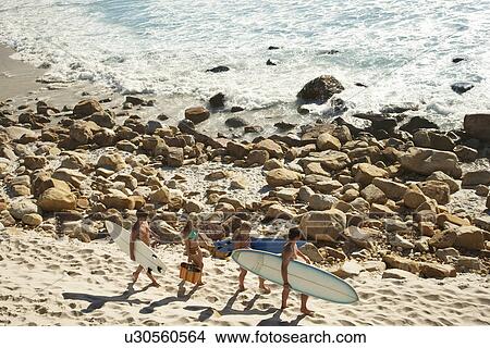 Young people carrying surfboards along beach View Large Photo Image Picture - Young people carrying surfboards along beach. Fotosearch