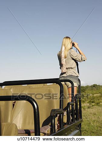 Stock Photo - Young woman on safari standing in jeep looking through binoculars back view. Fotosearch