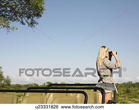 Young woman on safari standing in jeep looking through binoculars back view View Large Photo Image Stock Photograph - Young woman on safari standing in jeep looking through binoculars back view. Fotosearch
