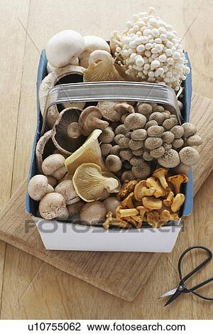 Assorted mushroom in basket on table elevated view View Large Photo Image Stock Image - Assorted mushroom in basket on table elevated view. Fotosearch