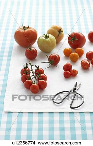 Assorted tomatoes on table View Large Photo Image Picture - Assorted tomatoes on table. Fotosearch