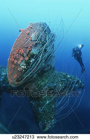 Stock Image - Bikini Atoll Marshall Islands Pacific Ocean scuba diver swimming near propeller of sunken battleship HIJMS Nagato. Fotosearch
