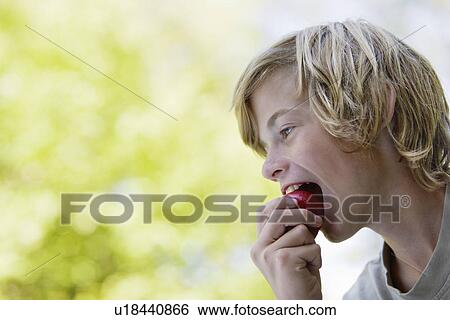 Boy (10-12) eating apple profile View Large Photo Image Stock Photograph - Boy (10-12) eating apple profile. Fotosearch