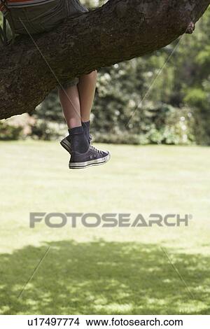 Picture - Boy (7-9) sitting on branch of tree low section. Fotosearch