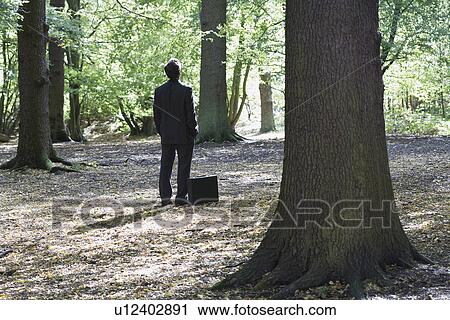Business man standing with briefcase in middle of forest View Large Photo Image Stock Image - Business man standing with briefcase in middle of forest. Fotosearch