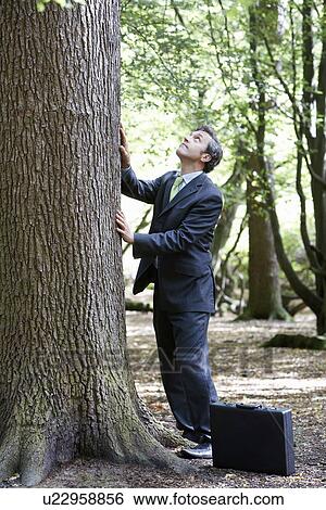 Business man stroking tree bark looking up View Large Photo Image Stock Photograph - Business man stroking tree bark looking up. Fotosearch