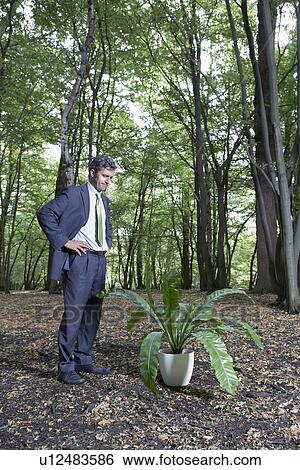 Business man watching potted plant in middle of forest View Large Photo Image Stock Photograph - Business man watching potted plant in middle of forest. Fotosearch