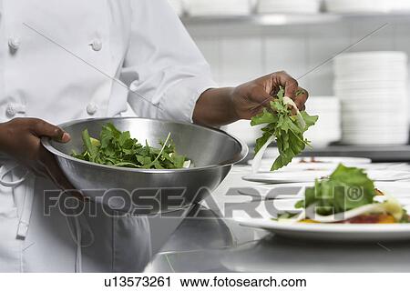 Chef preparing salad in kitchen mid section View Large Photo Image Stock Image - Chef preparing salad in kitchen mid section. Fotosearch