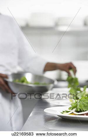 Chef preparing salad in kitchen mid section View Large Photo Image Stock Image - Chef preparing salad in kitchen mid section. Fotosearch