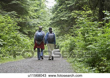 Couple on forest trail rear view View Large Photo Image Stock Image - Couple on forest trail rear view. Fotosearch