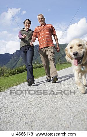 Couple walking with golden retriever on road View Large Photo Image Stock Photo - Couple walking with golden retriever on road. Fotosearch