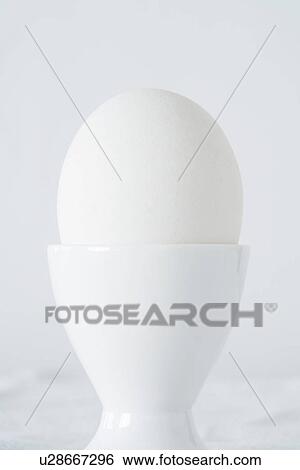 Egg in egg cup studio shot View Large Photo Image Stock Photograph - Egg in egg cup studio shot. Fotosearch
