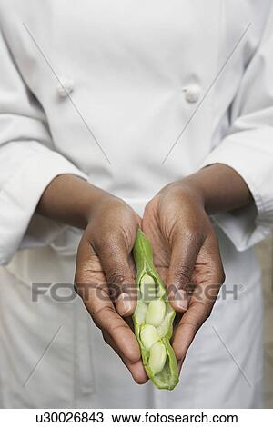 Stock Image - Female chef holding vegetables mid section. Fotosearch
