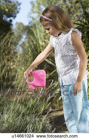 Girl (5-6) watering plant with plastic can View Large Photo Image Picture - Girl (5-6) watering plant with plastic can. Fotosearch