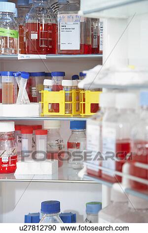 Lab supplies on shelves View Large Photo Image Stock Image - Lab supplies on shelves. Fotosearch